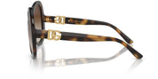 Dolce&Gabbana DG6194U 502/13 Sunglasses